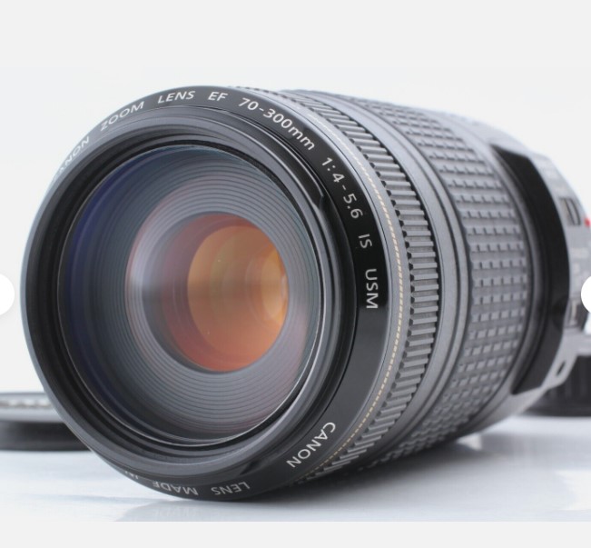 Canon EF 70-300mm F/4-5.6 IS USM Telephoto Zoom
