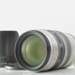 Canon EF 100-400mm f/4.5-5.6 L IS USM ULTRASONIC Zoom