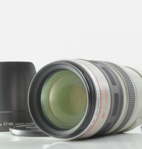 Canon EF 100-400mm f/4.5-5.6 L IS USM ULTRASONIC Zoom Lens 